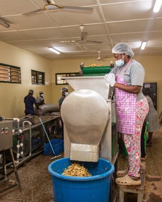 apsc-website-media-17