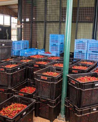 apsc-website-media-23